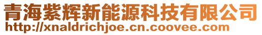 青海紫輝新能源科技有限公司