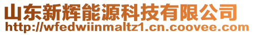 山東新輝能源科技有限公司