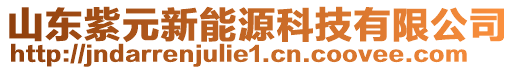 山東紫元新能源科技有限公司