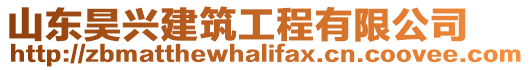 山東昊興建筑工程有限公司