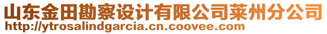 山東金田勘察設(shè)計(jì)有限公司萊州分公司