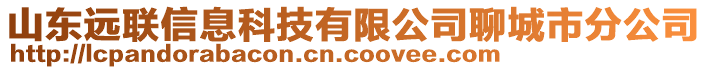 山東遠聯(lián)信息科技有限公司聊城市分公司