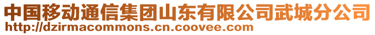 中國移動通信集團山東有限公司武城分公司