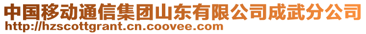 中國(guó)移動(dòng)通信集團(tuán)山東有限公司成武分公司