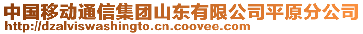 中國移動通信集團山東有限公司平原分公司