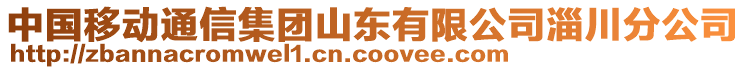 中國移動通信集團山東有限公司淄川分公司