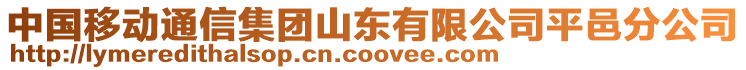 中國移動通信集團山東有限公司平邑分公司