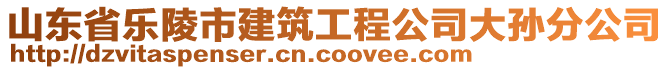 山東省樂陵市建筑工程公司大孫分公司