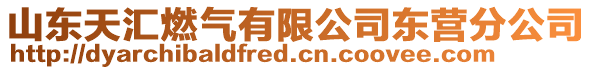 山东天汇燃气有限公司东营分公司