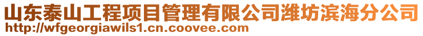 山東泰山工程項目管理有限公司濰坊濱海分公司