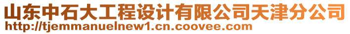 山東中石大工程設(shè)計(jì)有限公司天津分公司