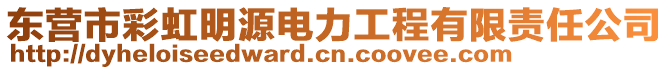 东营市彩虹明源电力工程有限责任公司