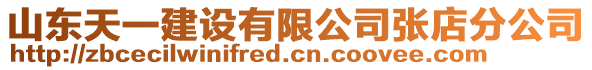 山东天一建设有限公司张店分公司