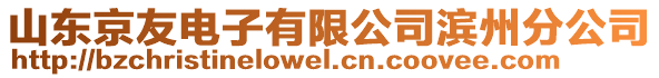 山東京友電子有限公司濱州分公司