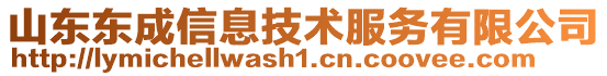 山東東成信息技術(shù)服務有限公司