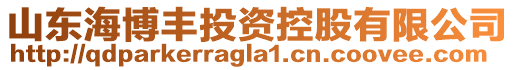 山東海博豐投資控股有限公司