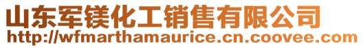 山東軍鎂化工銷售有限公司