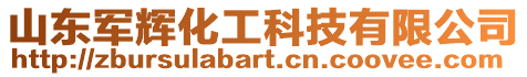 山東軍輝化工科技有限公司