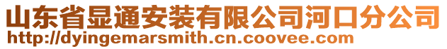 山東省顯通安裝有限公司河口分公司