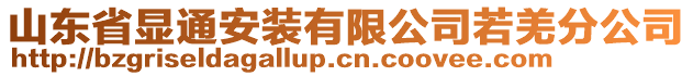 山東省顯通安裝有限公司若羌分公司