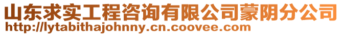 山東求實工程咨詢有限公司蒙陰分公司