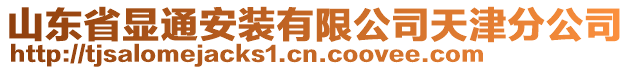 山東省顯通安裝有限公司天津分公司