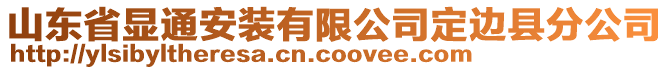 山東省顯通安裝有限公司定邊縣分公司