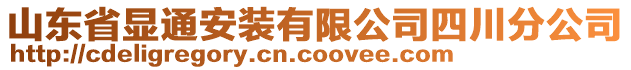 山東省顯通安裝有限公司四川分公司