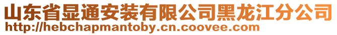 山東省顯通安裝有限公司黑龍江分公司