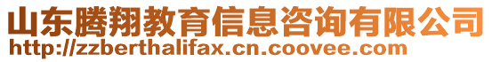 山東騰翔教育信息咨詢有限公司