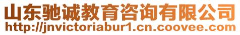 山東馳誠教育咨詢有限公司