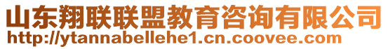 山東翔聯(lián)聯(lián)盟教育咨詢有限公司