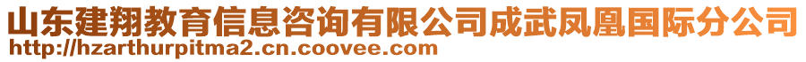 山東建翔教育信息咨詢有限公司成武鳳凰國際分公司