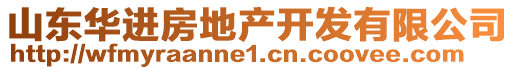 山東華進房地產(chǎn)開發(fā)有限公司