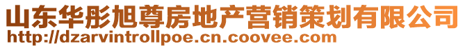 山東華彤旭尊房地產(chǎn)營銷策劃有限公司