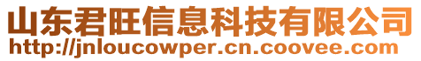 山東君旺信息科技有限公司