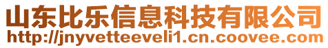 山東比樂(lè)信息科技有限公司