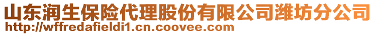 山東潤生保險代理股份有限公司濰坊分公司