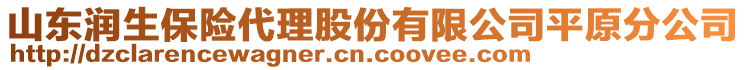 山東潤生保險(xiǎn)代理股份有限公司平原分公司