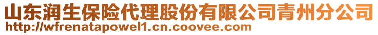 山東潤生保險代理股份有限公司青州分公司