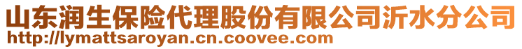 山東潤生保險代理股份有限公司沂水分公司