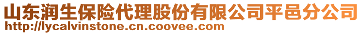 山東潤生保險代理股份有限公司平邑分公司