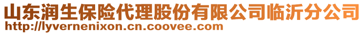 山東潤生保險代理股份有限公司臨沂分公司