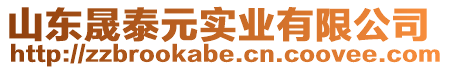 山東晟泰元實業(yè)有限公司