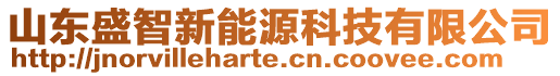 山東盛智新能源科技有限公司