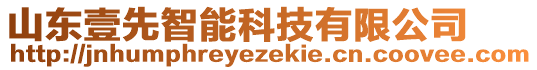 山東壹先智能科技有限公司