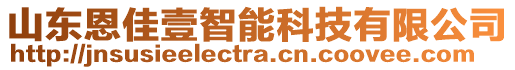 山東恩佳壹智能科技有限公司