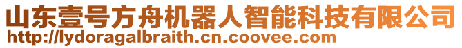 山東壹號方舟機(jī)器人智能科技有限公司