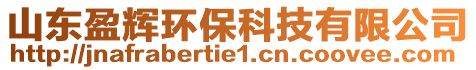 山東盈輝環(huán)?？萍加邢薰? style=