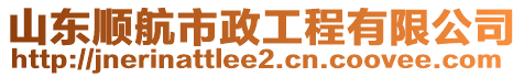 山東順航市政工程有限公司
